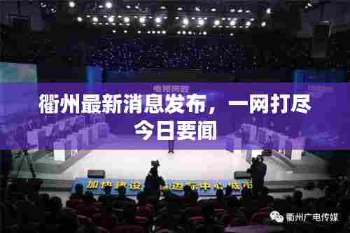衢州最新消息发布，一网打尽今日要闻