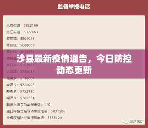 沙县最新疫情通告，今日防控动态更新