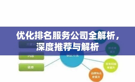 优化排名服务公司全解析，深度推荐与解析