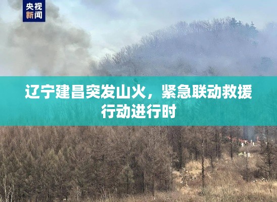 辽宁建昌突发山火，紧急联动救援行动进行时
