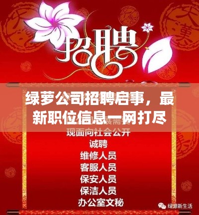 绿萝公司招聘启事，最新职位信息一网打尽