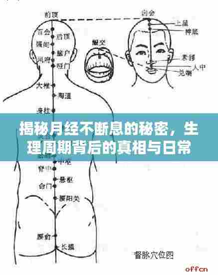 揭秘月经不断息的秘密，生理周期背后的真相与日常护理技巧
