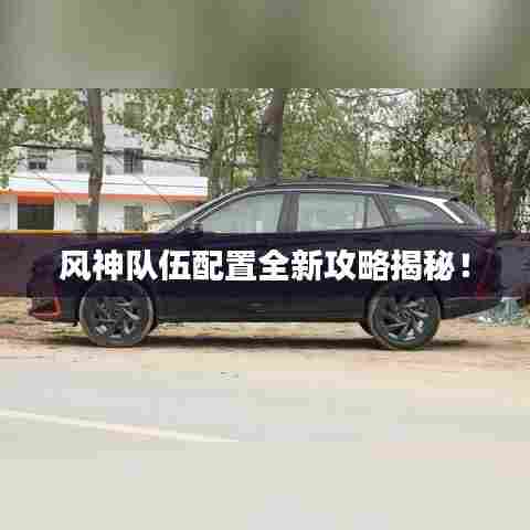 风神队伍配置全新攻略揭秘！