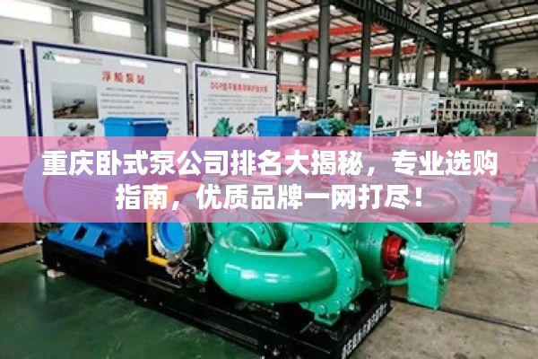 重庆卧式泵公司排名大揭秘，专业选购指南，优质品牌一网打尽！