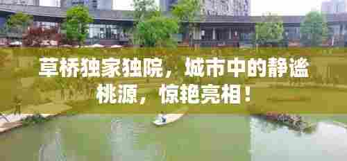 草桥独家独院，城市中的静谧桃源，惊艳亮相！