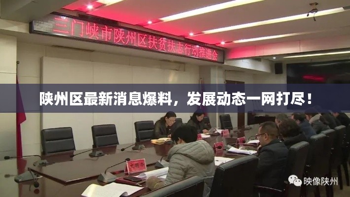 陕州区最新消息爆料，发展动态一网打尽！