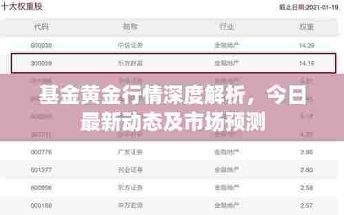 基金黄金行情深度解析，今日最新动态及市场预测