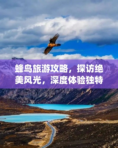 蜂鸟旅游攻略，探访绝美风光，深度体验独特文化