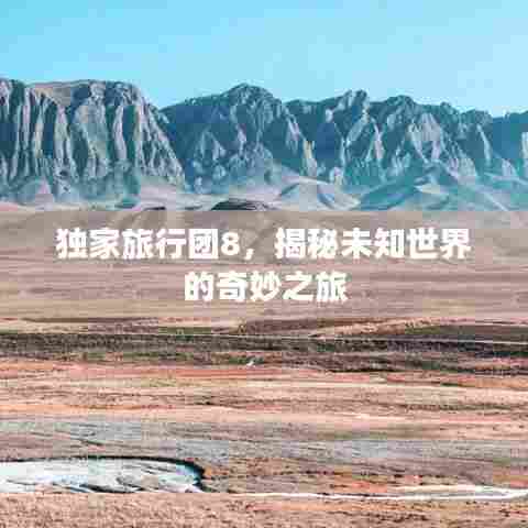 独家旅行团8，揭秘未知世界的奇妙之旅