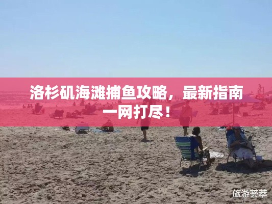 洛杉矶海滩捕鱼攻略，最新指南一网打尽！