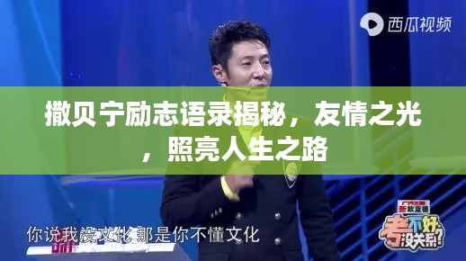 撒贝宁励志语录揭秘，友情之光，照亮人生之路