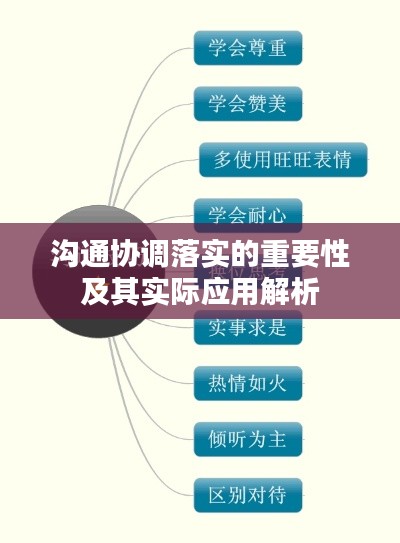 沟通协调落实的重要性及其实际应用解析