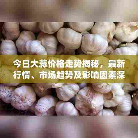 今日大蒜价格走势揭秘，最新行情、市场趋势及影响因素深度解析