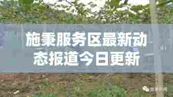 施秉服务区最新动态报道今日更新