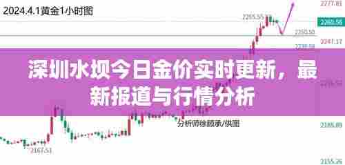 深圳水坝今日金价实时更新，最新报道与行情分析