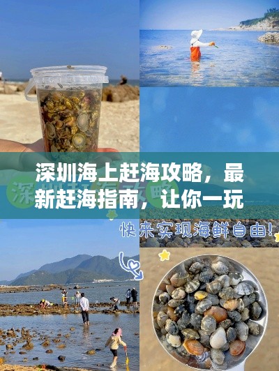 深圳海上赶海攻略，最新赶海指南，让你一玩就停不下来！