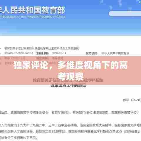 独家评论，多维度视角下的高考观察