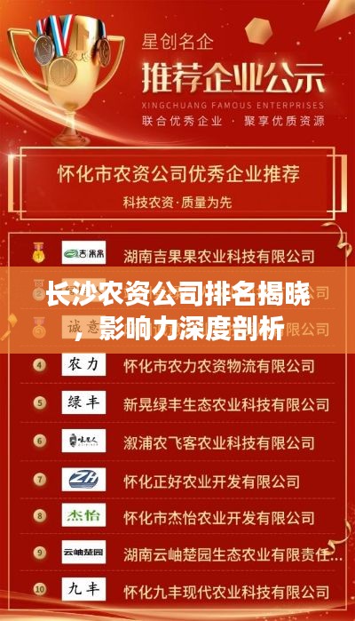 长沙农资公司排名揭晓，影响力深度剖析