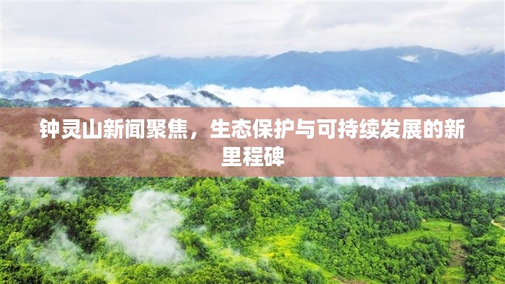 钟灵山新闻聚焦，生态保护与可持续发展的新里程碑