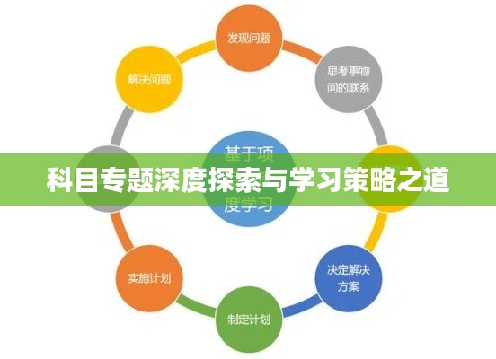 科目专题深度探索与学习策略之道