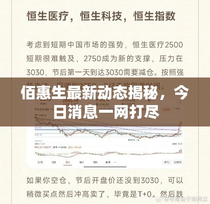 佰惠生最新动态揭秘，今日消息一网打尽