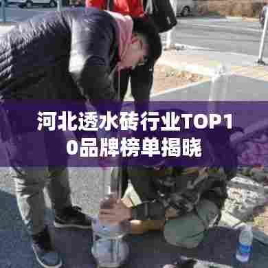 河北透水砖行业TOP10品牌榜单揭晓