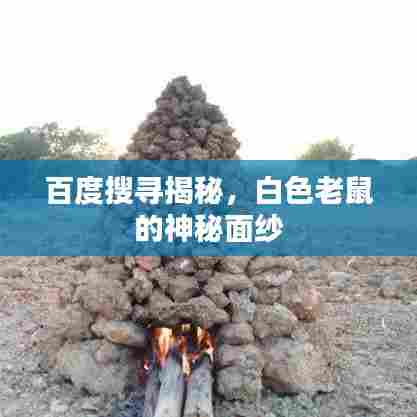 百度搜寻揭秘，白色老鼠的神秘面纱