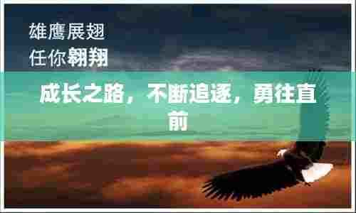 成长之路，不断追逐，勇往直前