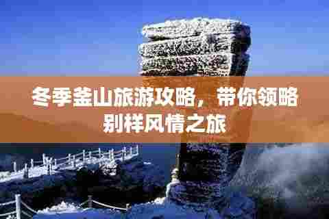 冬季釜山旅游攻略，带你领略别样风情之旅
