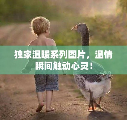 独家温暖系列图片，温情瞬间触动心灵！