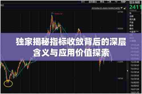 独家揭秘指标收敛背后的深层含义与应用价值探索