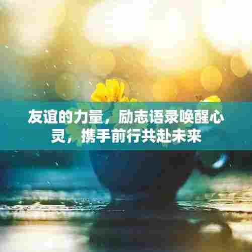 友谊的力量，励志语录唤醒心灵，携手前行共赴未来