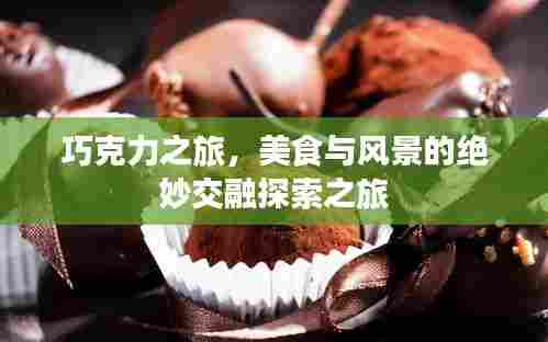 钗荆裙布 第6页