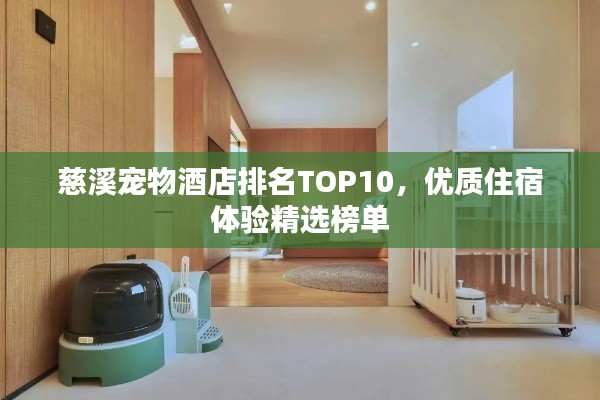慈溪宠物酒店排名TOP10，优质住宿体验精选榜单