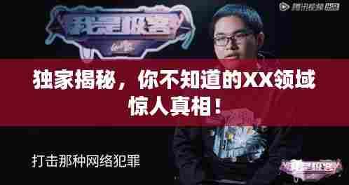 独家揭秘，你不知道的XX领域惊人真相！