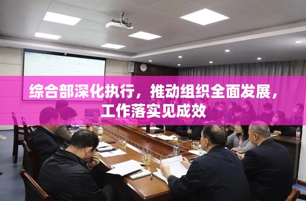 综合部深化执行，推动组织全面发展，工作落实见成效
