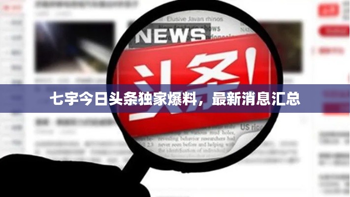 七宇今日头条独家爆料，最新消息汇总