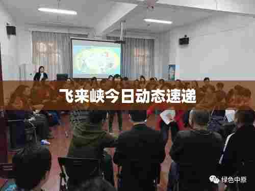 飞来峡今日动态速递