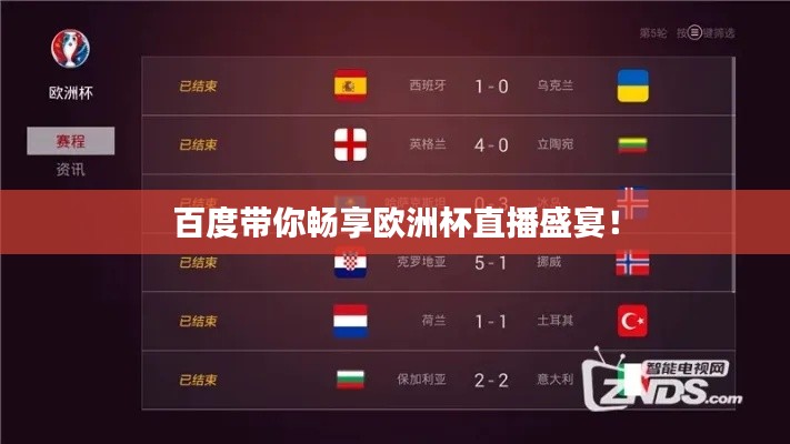 百度带你畅享欧洲杯直播盛宴！