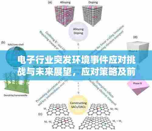 电子行业突发环境事件应对挑战与未来展望，应对策略及前景分析