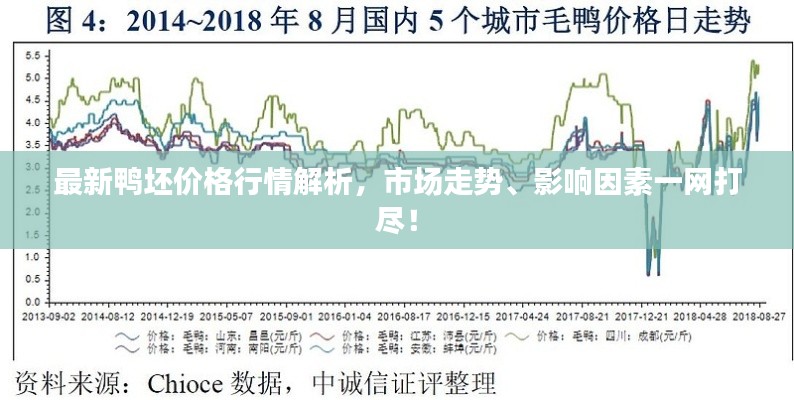 最新鸭坯价格行情解析，市场走势、影响因素一网打尽！