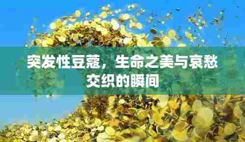 突发性豆蔻，生命之美与哀愁交织的瞬间