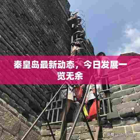 秦皇岛最新动态，今日发展一览无余