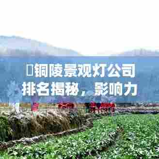 ​铜陵景观灯公司排名揭秘，影响力深度探讨