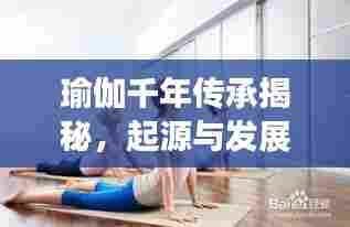 择善而从 第5页