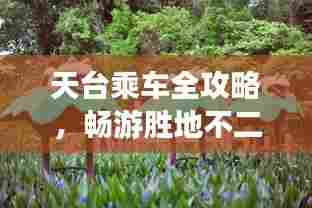 天台乘车全攻略，畅游胜地不二之选！