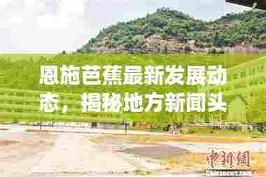 恩施芭蕉最新发展动态，揭秘地方新闻头条