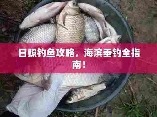 日照钓鱼攻略，海滨垂钓全指南！