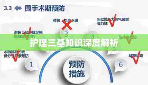 护理三基知识深度解析