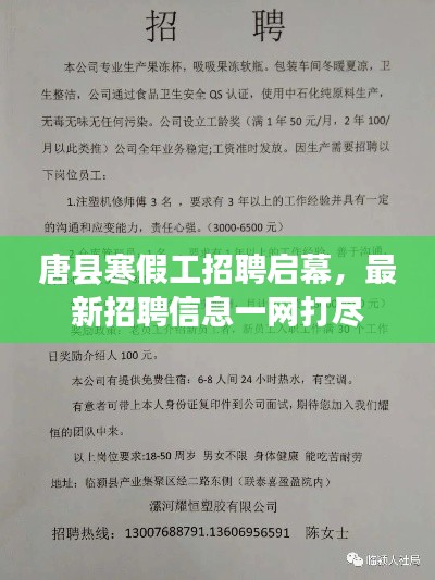 唐县寒假工招聘启幕，最新招聘信息一网打尽